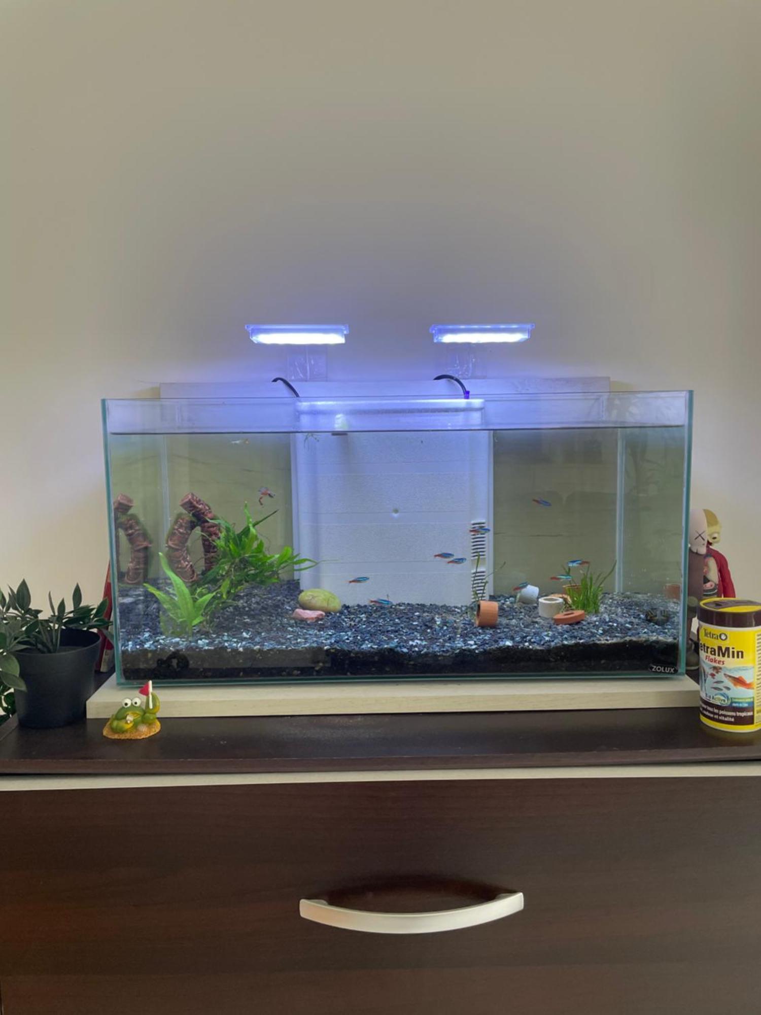 Appartement De Luca Saint-André-de-Cubzac المظهر الخارجي الصورة